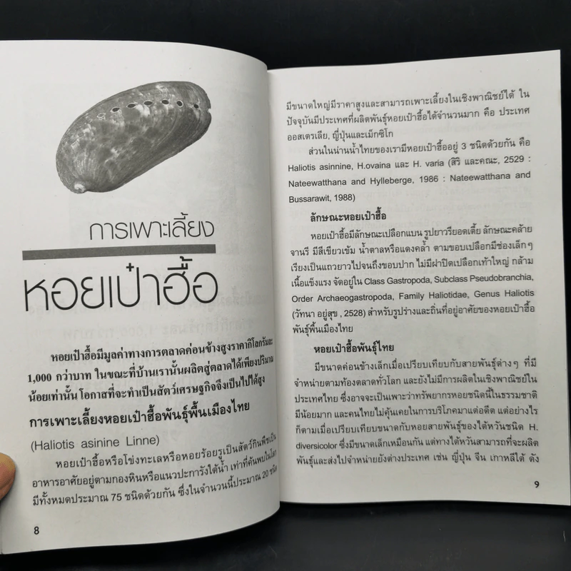 การเพาะเลี้ยงหอยเศรษฐกิจ รูปที่ 10