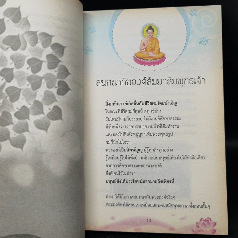 สนทนากับองค์สัมมาสัมพุทธเจ้า เล่ม 1-2 - พ.อ.นพ.พงศ์ศักดิ์ ตั้งคณา รูปที่ 10