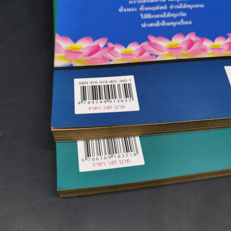 สนทนากับองค์สัมมาสัมพุทธเจ้า เล่ม 1-2 - พ.อ.นพ.พงศ์ศักดิ์ ตั้งคณา รูปที่ 14