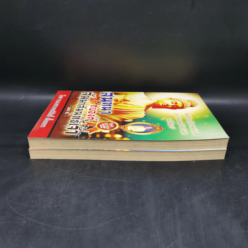 สนทนากับองค์สัมมาสัมพุทธเจ้า เล่ม 1-2 - พ.อ.นพ.พงศ์ศักดิ์ ตั้งคณา รูปที่ 5