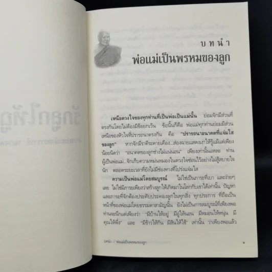 รักลูกให้ถูกทาง - พระพรหมมังคลาจารย์ หลวงพ่อปัญญานันทภิกขุ รูปที่ 11