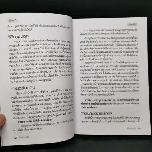 ผักสวนครัว - ศรานนท์ เจริญสุข รูปที่ 12