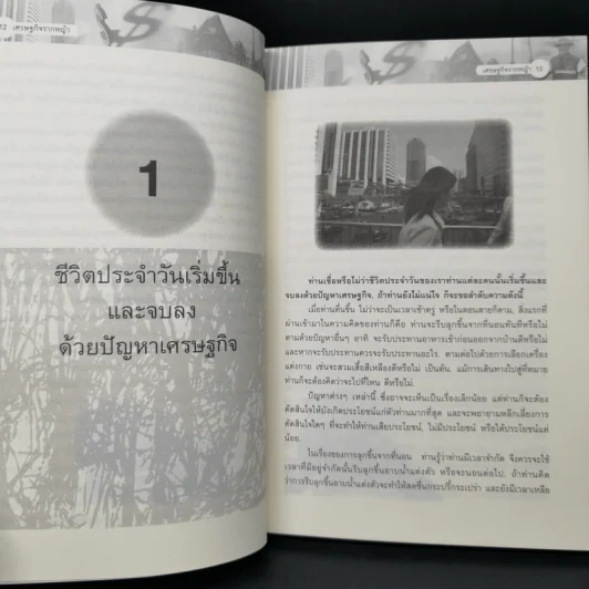 เศรษฐกิจรากหญ้า - ดร.วิชิตวงศ์ ณ ป้อมเพชร รูปที่ 11