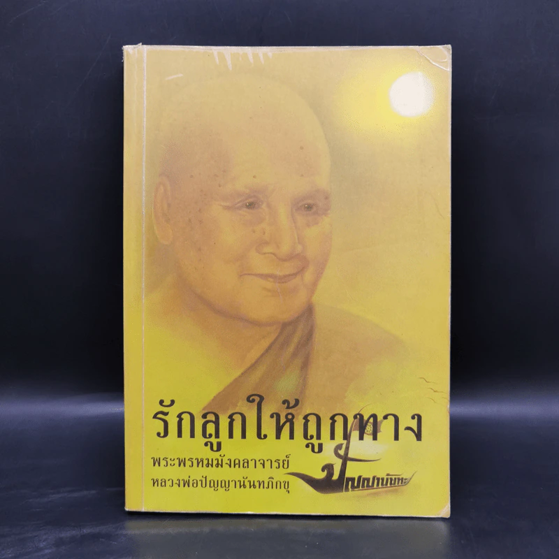 รักลูกให้ถูกทาง - พระพรหมมังคลาจารย์ หลวงพ่อปัญญานันทภิกขุ รูปที่ 1