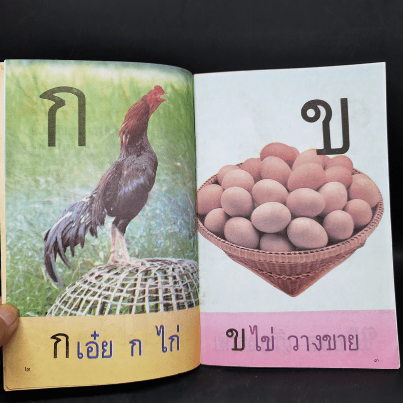 หัดอ่าน ก ไก่ สำหรับเด็กเล็ก อนุบาล ผู้เริ่มเรียน - ศ.ดร.ภิญโญ สาธร รูปที่ 9