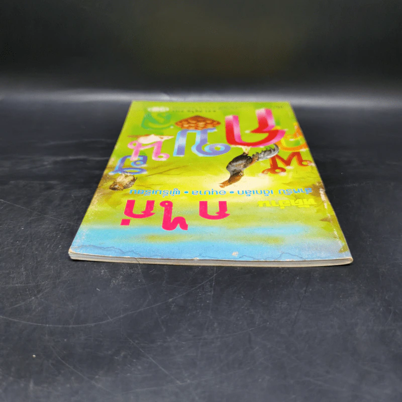 หัดอ่าน ก ไก่ สำหรับเด็กเล็ก อนุบาล ผู้เริ่มเรียน - ศ.ดร.ภิญโญ สาธร รูปที่ 6