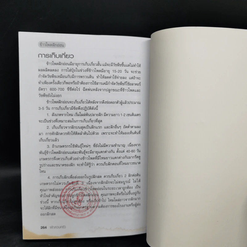 ผักสวนครัว - ศรานนท์ เจริญสุข รูปที่ 13