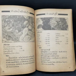สวยทันโลก ฉบับ อาหารรสเด็ด รูปที่ 11