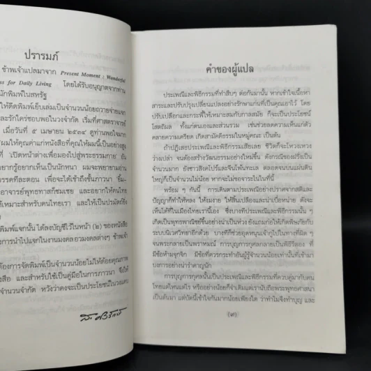 ปัจจุบันเป็นเวลาประเสริฐสุด - ติช นัท ฮันท์ รูปที่ 9