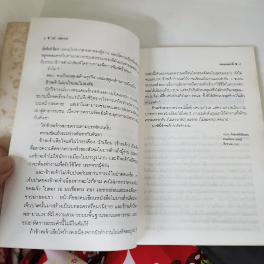 เสเพลบอยชาวไร่ - รงค์ วงษ์สวรรค์ รูปที่ 17