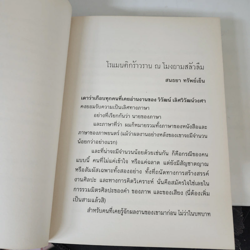ยูโทเปียชำรุด - วิวัฒน์ เลิศวิวัฒน์วงศา รูปที่ 14