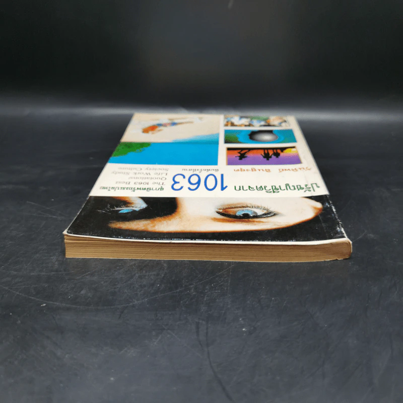 ปรัชญาชีวิตจาก 1063 สุภาษิตพร้อมแปลไทย - วันทิพย์ สินสูงสุด รูปที่ 6