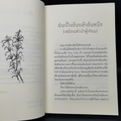 ร่มไม้หนึ่งซึ่งเราตัวเล็ก - ปันนารีย์ รูปที่ 9