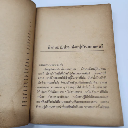 พลอยน้ำเพลิง - Alan Garner, สุธัชริน รูปที่ 10