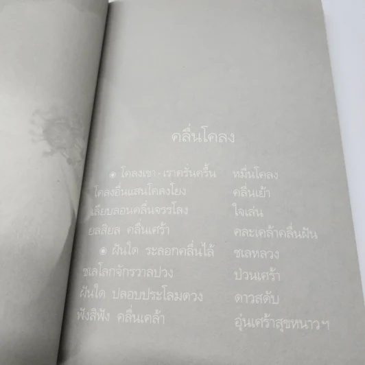 เจ้านกกวี - ไพวรินทร์ ขาวงาม รูปที่ 10