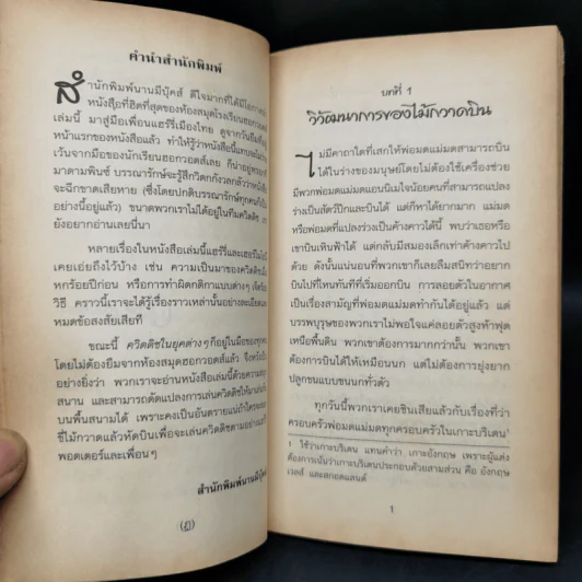 สัตว์มหัศจรรย์และถิ่นที่อยู่ + ควิดดิชในยุคต่างๆ รูปที่ 13