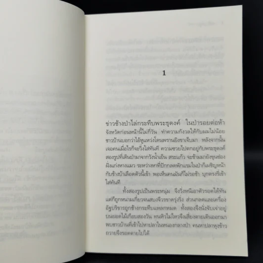 สางในป่าสูง - วัธนา บุญยัง รูปที่ 9