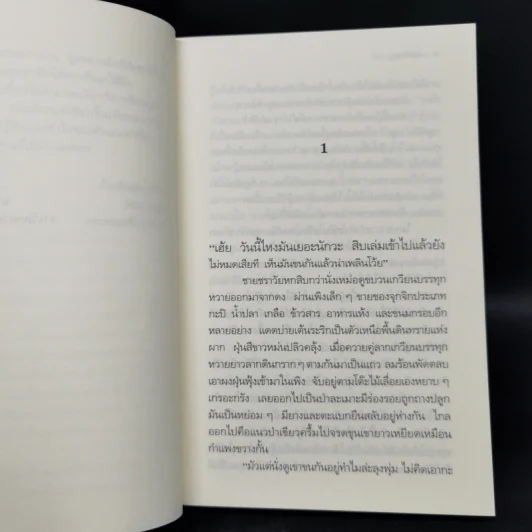 ป่าเปลี่ยนสี - วัธนา บุญยัง รูปที่ 10