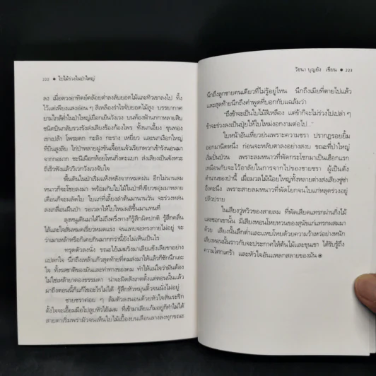 ใบไม้ร่วงในป่าใหญ่ - วัธนา บุญยัง รูปที่ 10