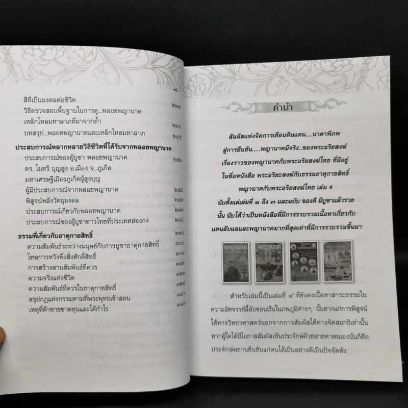 พญานาคกับพระอริยสงฆ์ไทย 4 ของดี มีบูชาแล้วรวย - กันธกานต์ กิ้มทอง (โจ) รูปที่ 10