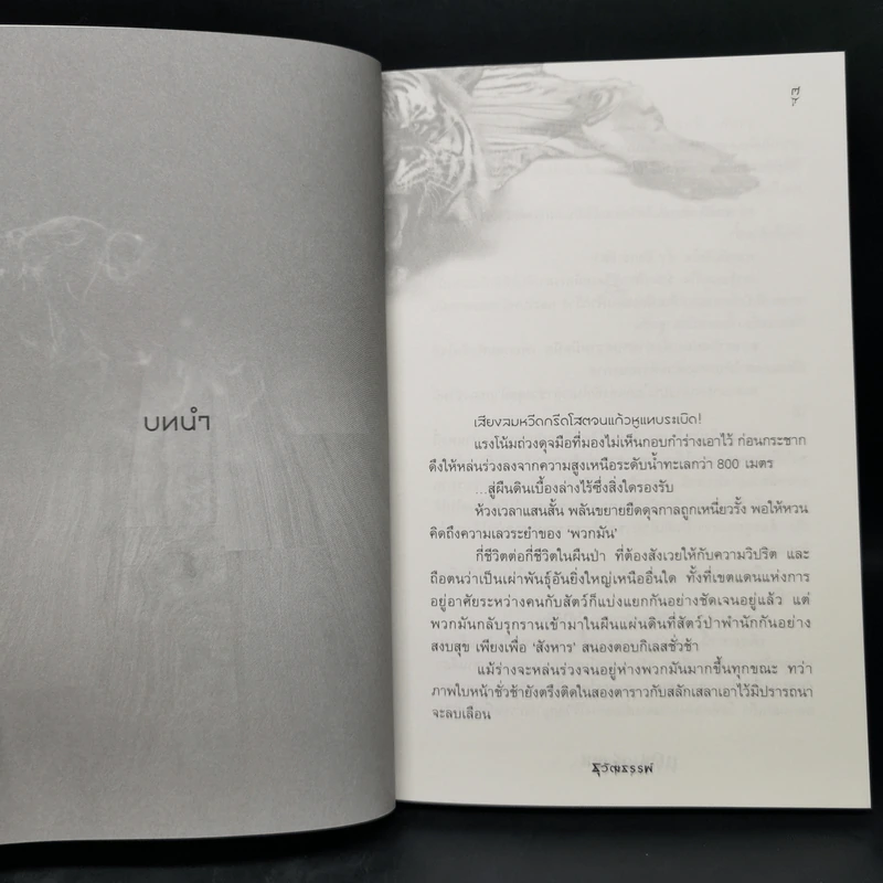 แดนเดรัจฉาน - ธุวัฒธรรพ์ รูปที่ 9