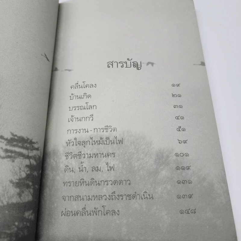 เจ้านกกวี - ไพวรินทร์ ขาวงาม รูปที่ 9