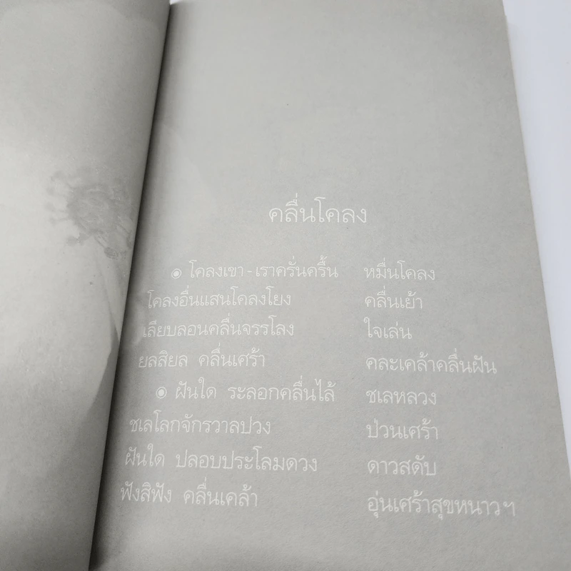 เจ้านกกวี - ไพวรินทร์ ขาวงาม รูปที่ 10