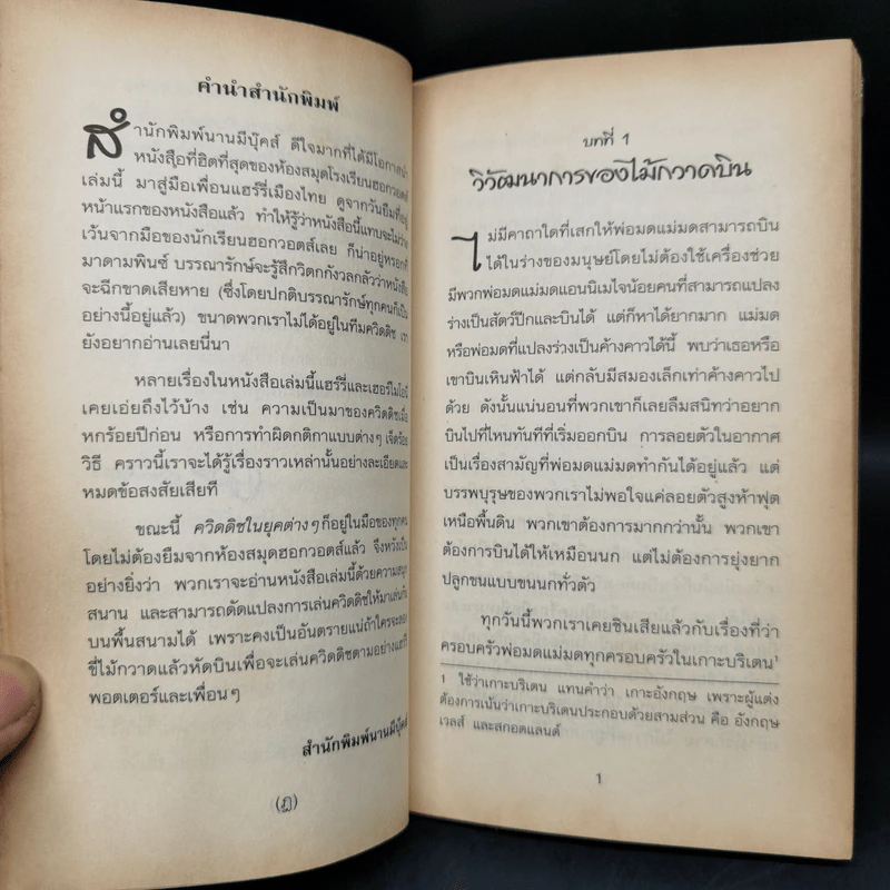 สัตว์มหัศจรรย์และถิ่นที่อยู่ + ควิดดิชในยุคต่างๆ รูปที่ 13