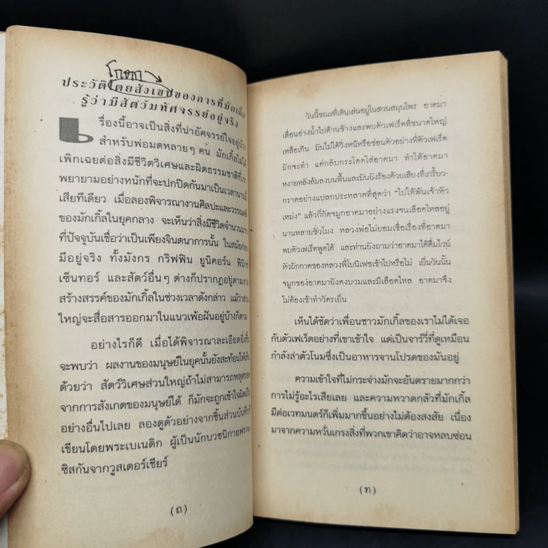 สัตว์มหัศจรรย์และถิ่นที่อยู่ + ควิดดิชในยุคต่างๆ รูปที่ 10
