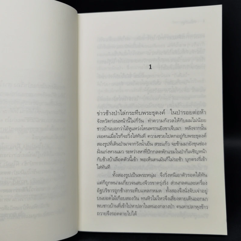 สางในป่าสูง - วัธนา บุญยัง รูปที่ 9