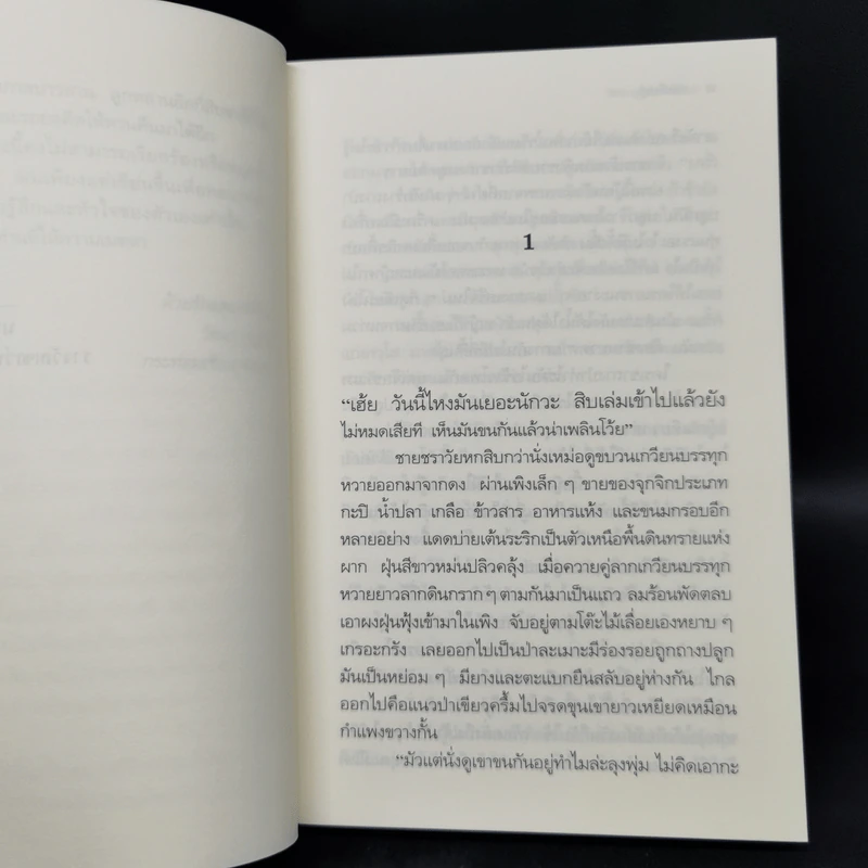 ป่าเปลี่ยนสี - วัธนา บุญยัง รูปที่ 10