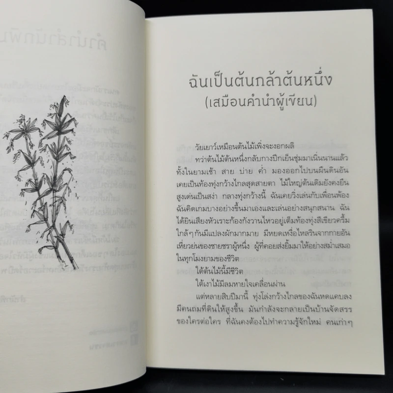 ร่มไม้หนึ่งซึ่งเราตัวเล็ก - ปันนารีย์ รูปที่ 9