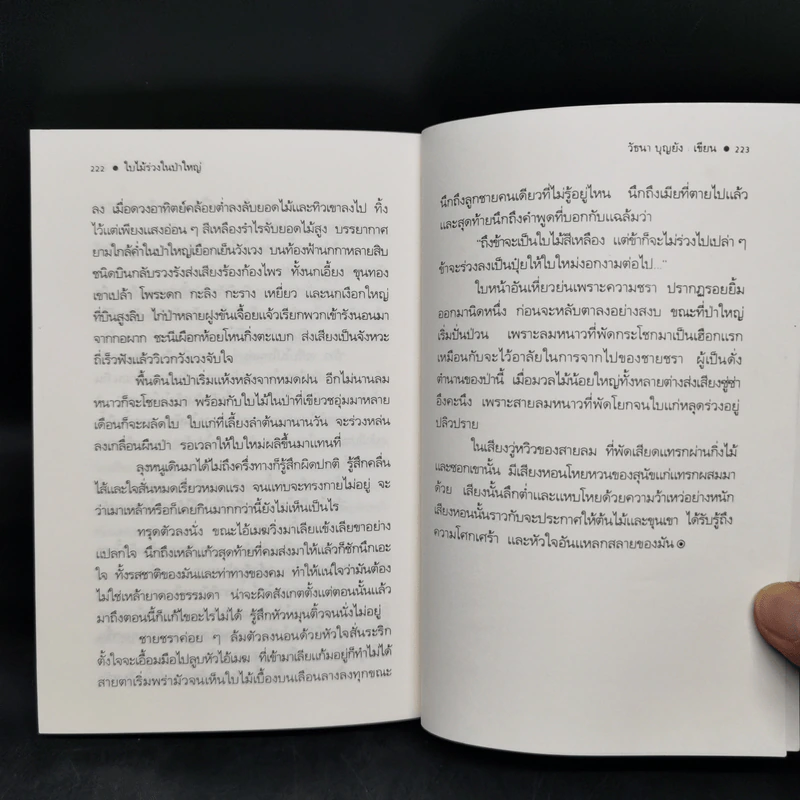 ใบไม้ร่วงในป่าใหญ่ - วัธนา บุญยัง รูปที่ 10