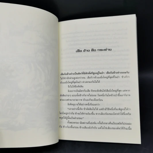 นิทานมาลา เล่ม 1-2 - มาลา คำจันทร์ รูปที่ 11