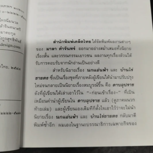 นกแอ่นฟ้า - มาลา คำจันทร์ รูปที่ 8