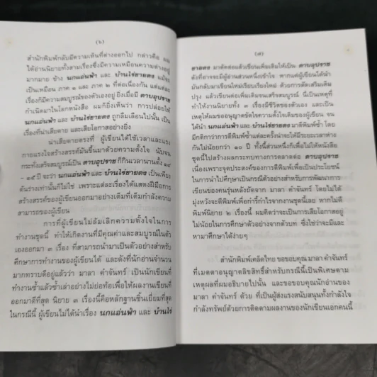 นกแอ่นฟ้า - มาลา คำจันทร์ รูปที่ 9