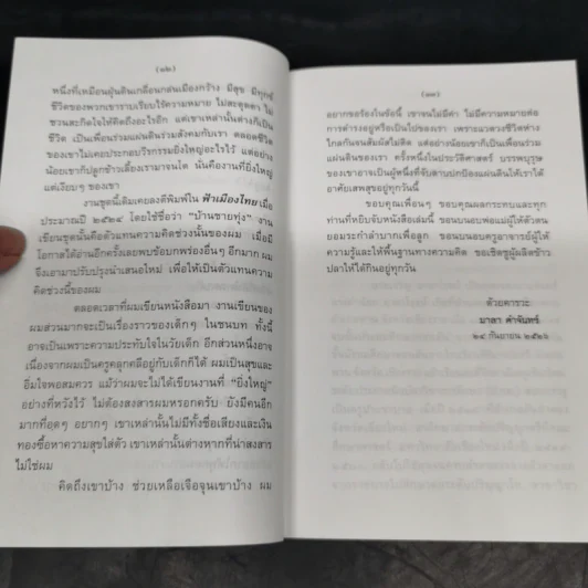 นกแอ่นฟ้า - มาลา คำจันทร์ รูปที่ 12