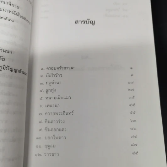 นกแอ่นฟ้า - มาลา คำจันทร์ รูปที่ 13