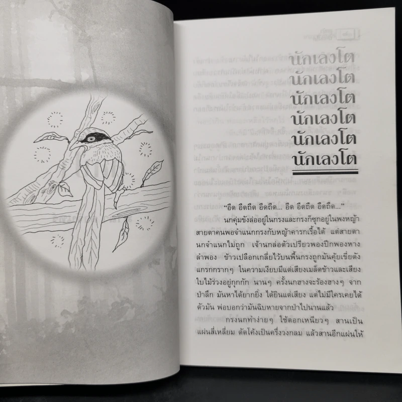 ลูกป่า - มาลา คำจันทร์ รูปที่ 10