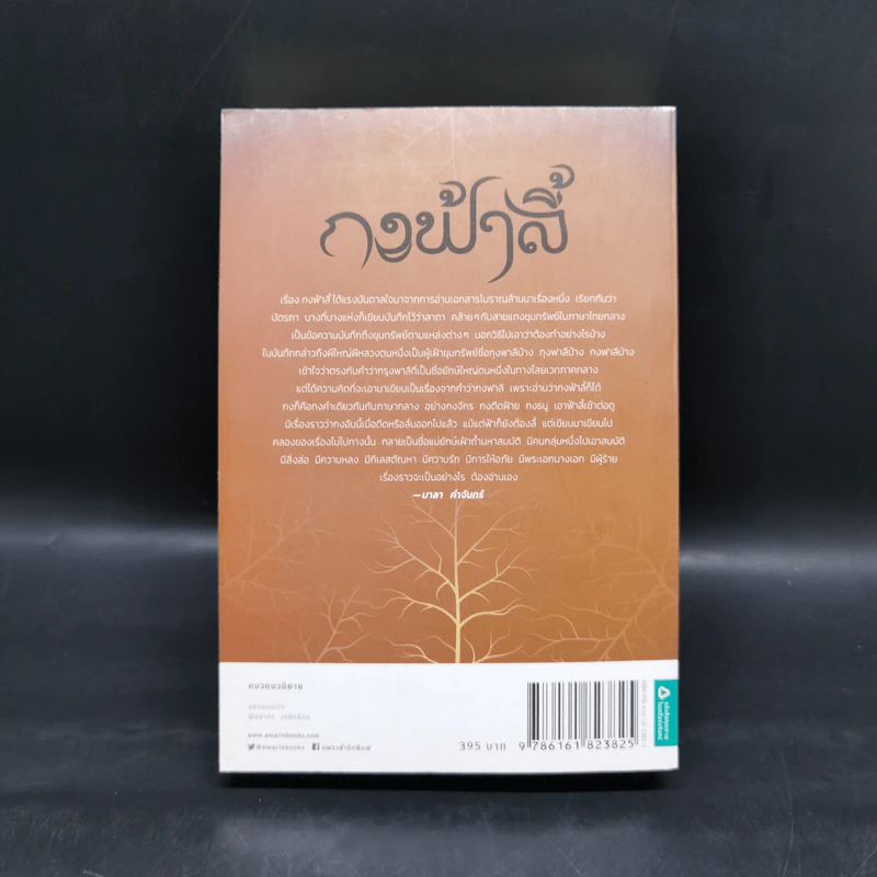 กงฟ้าลี้ - มาลา คำจันทร์ รูปที่ 6