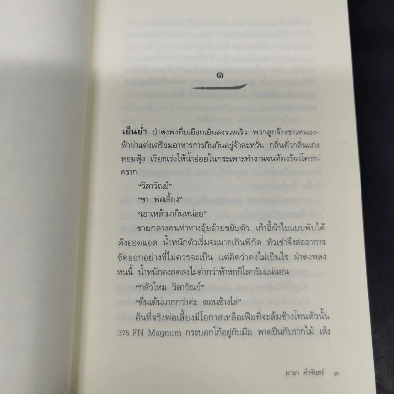 กงฟ้าลี้ - มาลา คำจันทร์ รูปที่ 12