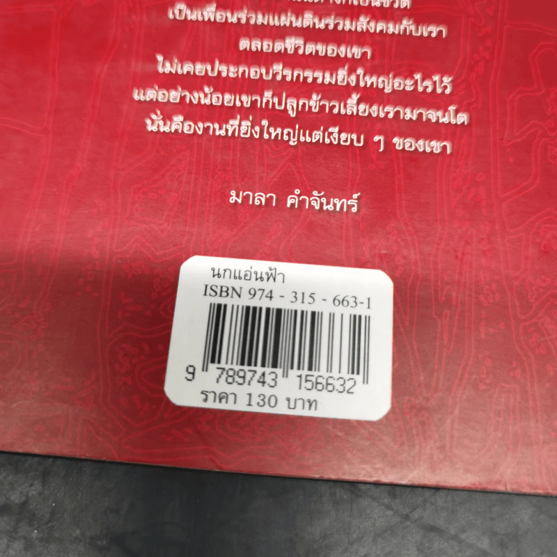 นกแอ่นฟ้า - มาลา คำจันทร์ รูปที่ 16
