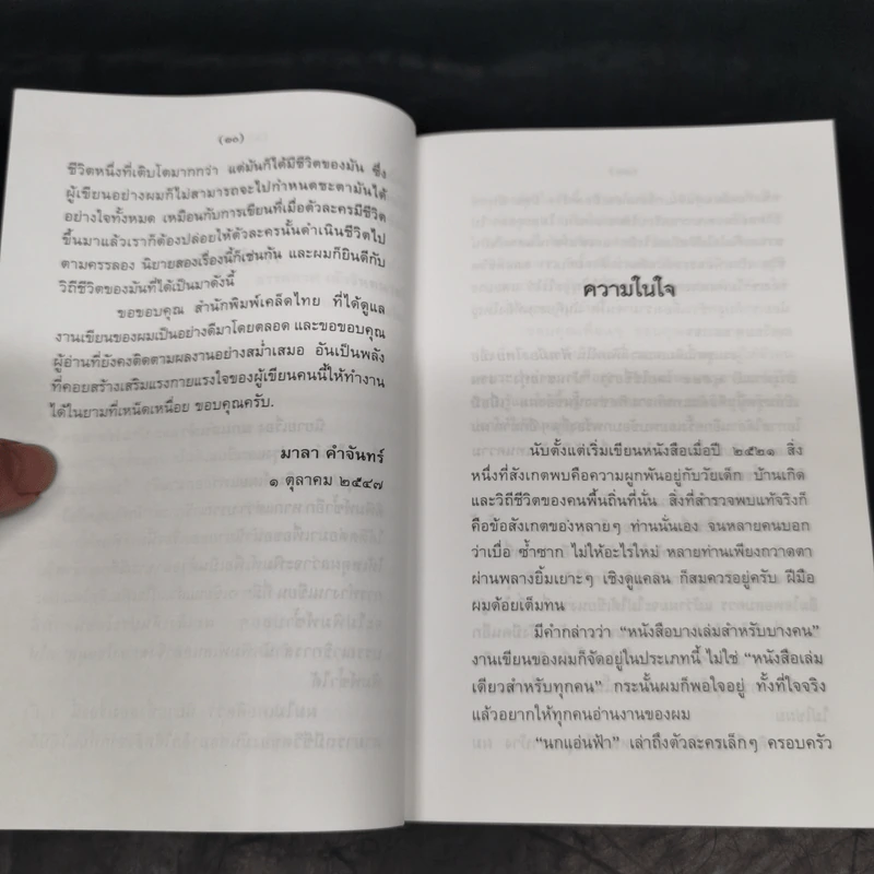 นกแอ่นฟ้า - มาลา คำจันทร์ รูปที่ 11
