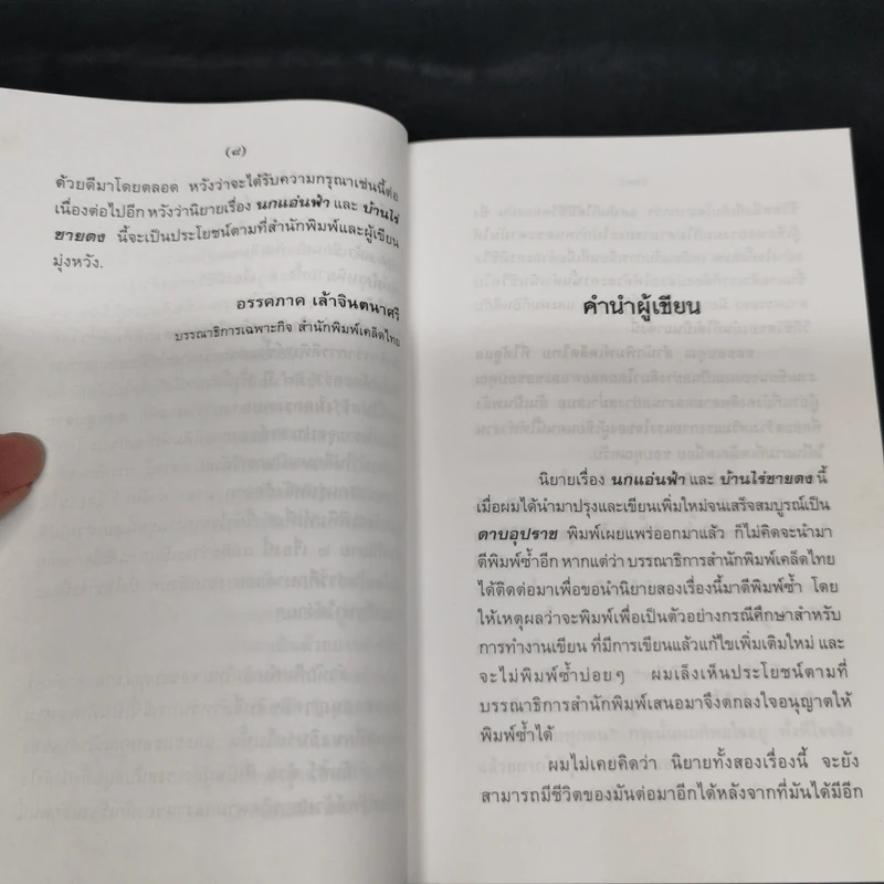 นกแอ่นฟ้า - มาลา คำจันทร์ รูปที่ 10
