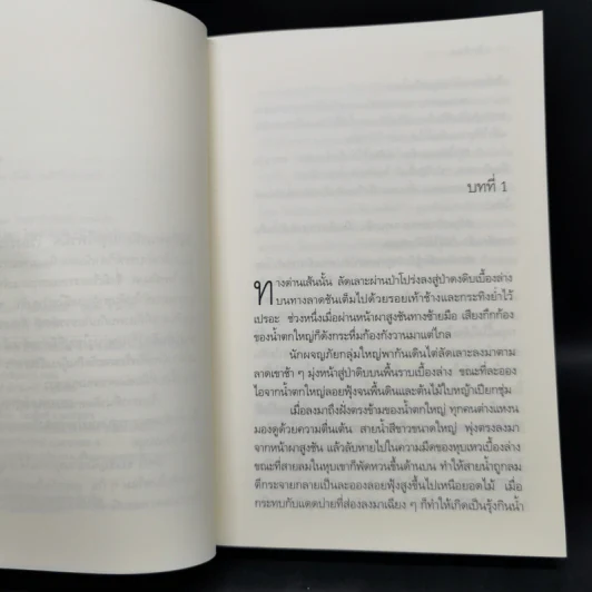 ไพรมืด 4 เล่มจบ (ไพรมืด+ไพรมายา+ไพรพิสดาร+ไพรพินาศ) - วัธนา บุญยัง รูปที่ 18