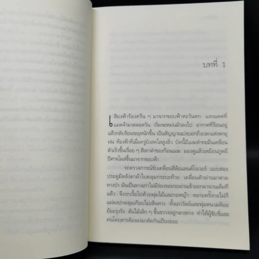 ไพรมืด 4 เล่มจบ (ไพรมืด+ไพรมายา+ไพรพิสดาร+ไพรพินาศ) - วัธนา บุญยัง รูปที่ 9