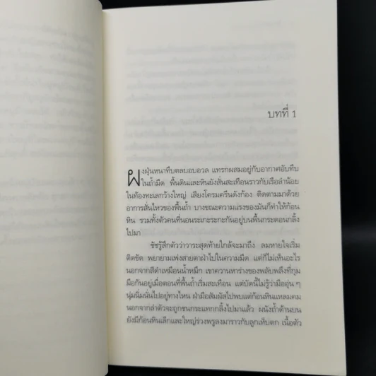 ไพรมืด 4 เล่มจบ (ไพรมืด+ไพรมายา+ไพรพิสดาร+ไพรพินาศ) - วัธนา บุญยัง รูปที่ 12