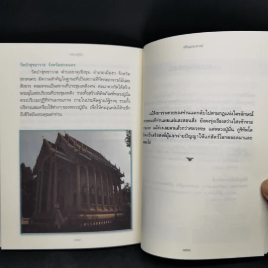 หลวงปู่มั่น พระอาจารย์ใหญ่ผู้สร้างกองทัพธรรม รูปที่ 10