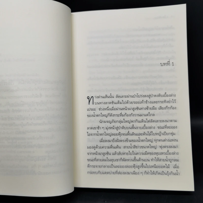 ไพรมืด 4 เล่มจบ (ไพรมืด+ไพรมายา+ไพรพิสดาร+ไพรพินาศ) - วัธนา บุญยัง รูปที่ 18