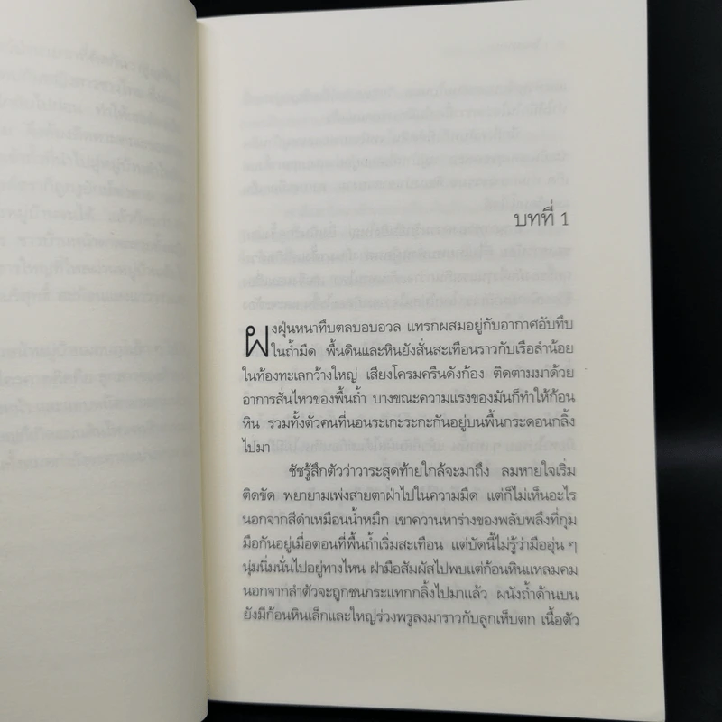ไพรมืด 4 เล่มจบ (ไพรมืด+ไพรมายา+ไพรพิสดาร+ไพรพินาศ) - วัธนา บุญยัง รูปที่ 12